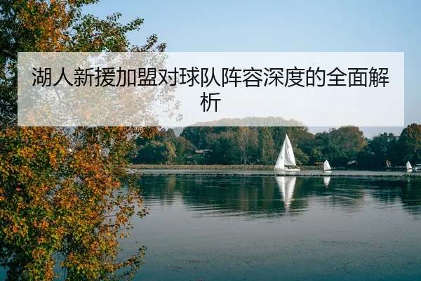 湖人新援加盟对球队阵容深度的全面解析